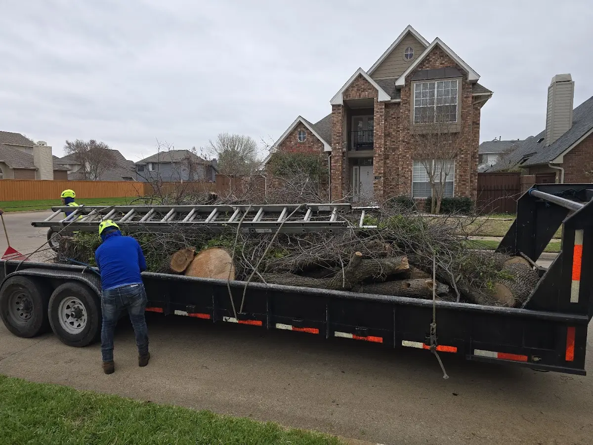 Expert Lot Clearing with proper safety equipment in Bell